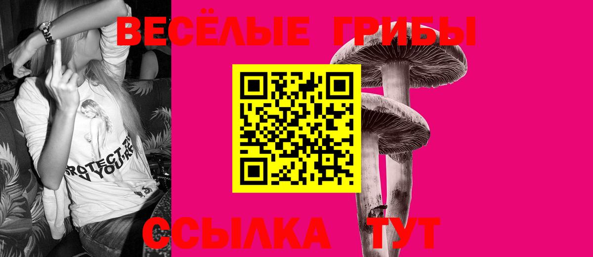 Галлюциногенные грибы прущие грибы  Вход с VPN  Дивногорск 