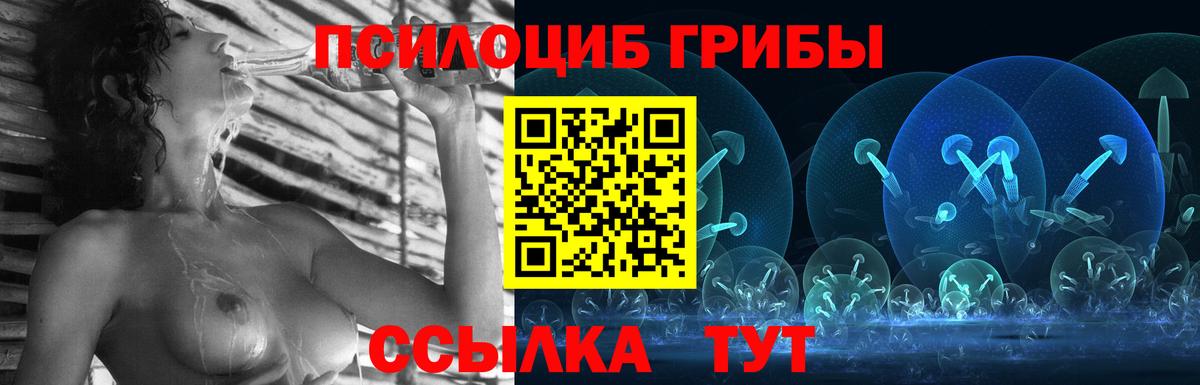 Галлюциногенные грибы прущие грибы Дивногорск