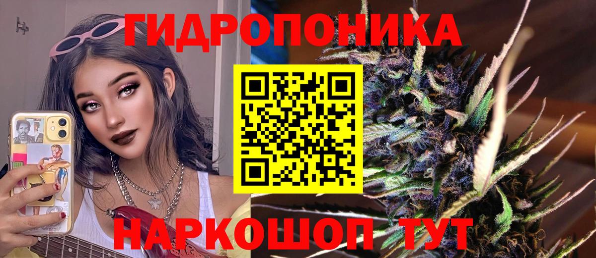 Канабис MAZAR Дивногорск